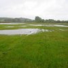 regn_11-12_juni_2009 8